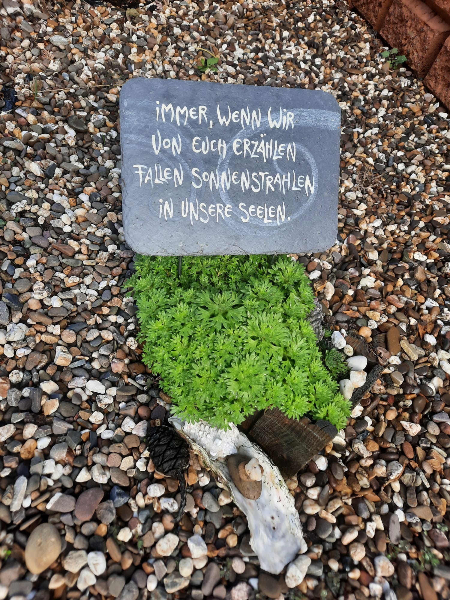 Immer, wenn wir RECHTECK