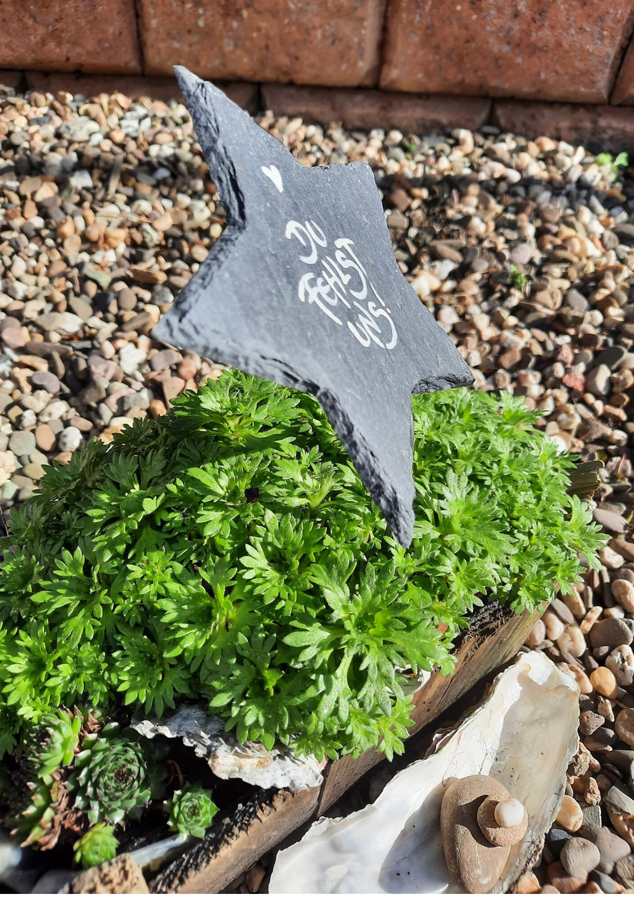 Du fehlst uns! STERN