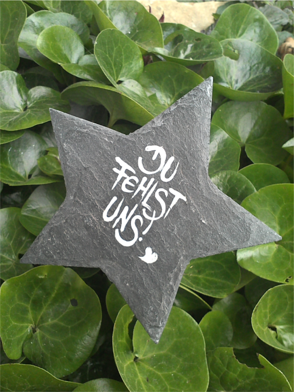 Du fehlst uns! STERN