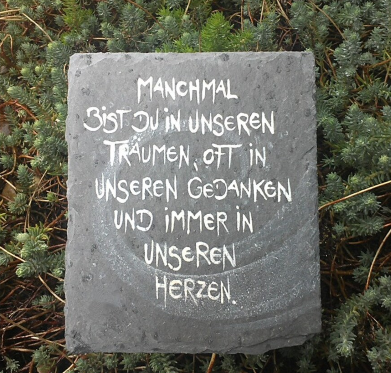 Manchmal bist du in unseren Träumen RECHTECK