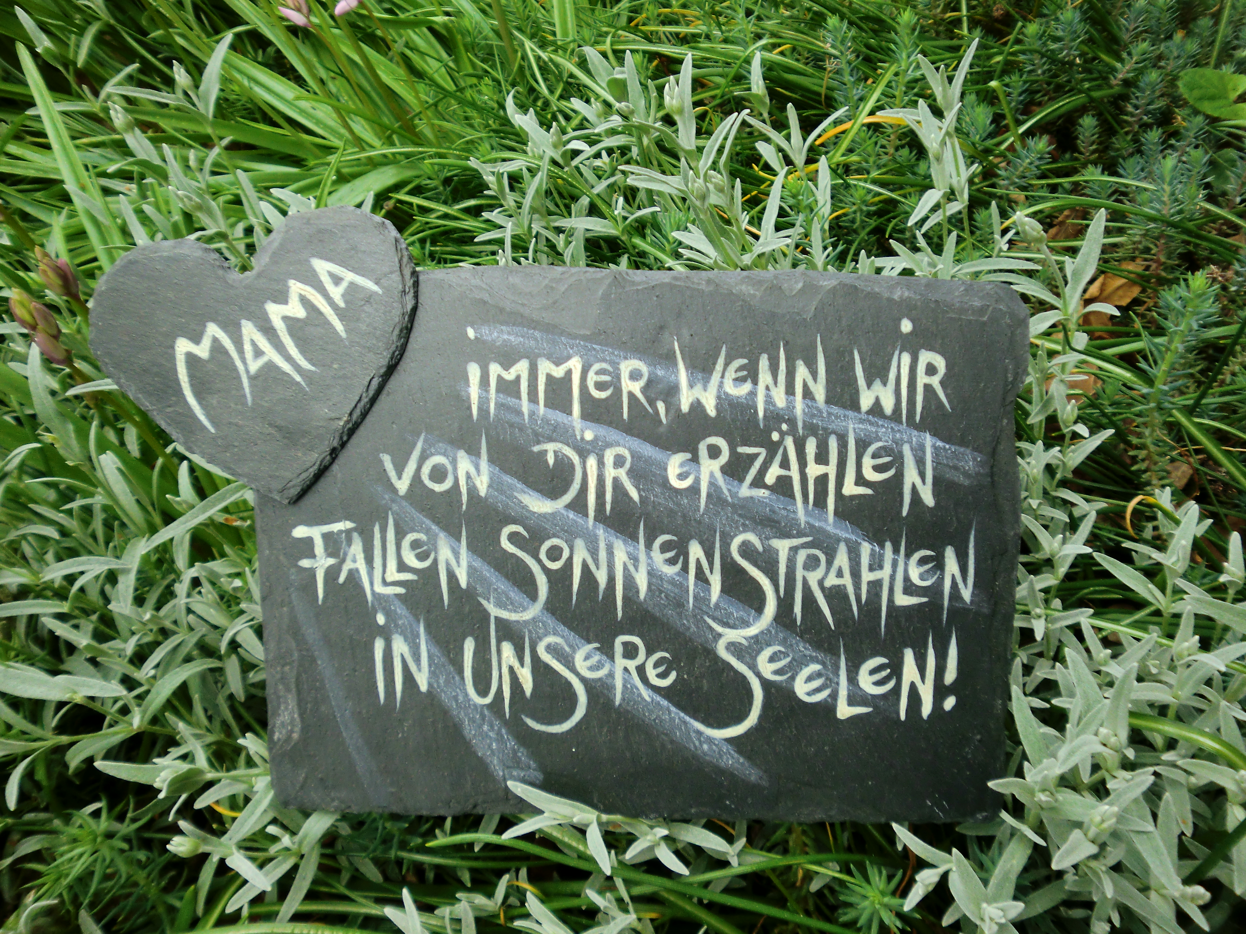 Immer, wenn wir RECHTECK