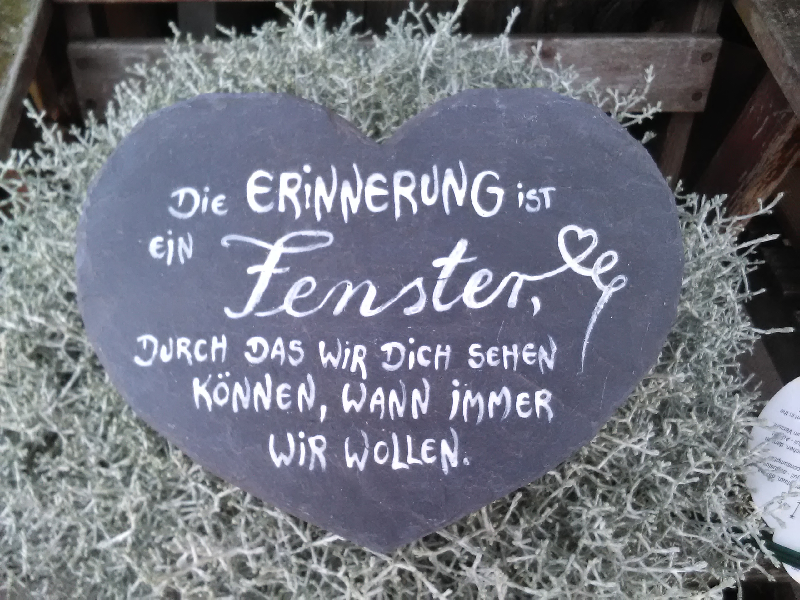 Die Erinnerung ist ein Fenster RECHTECK