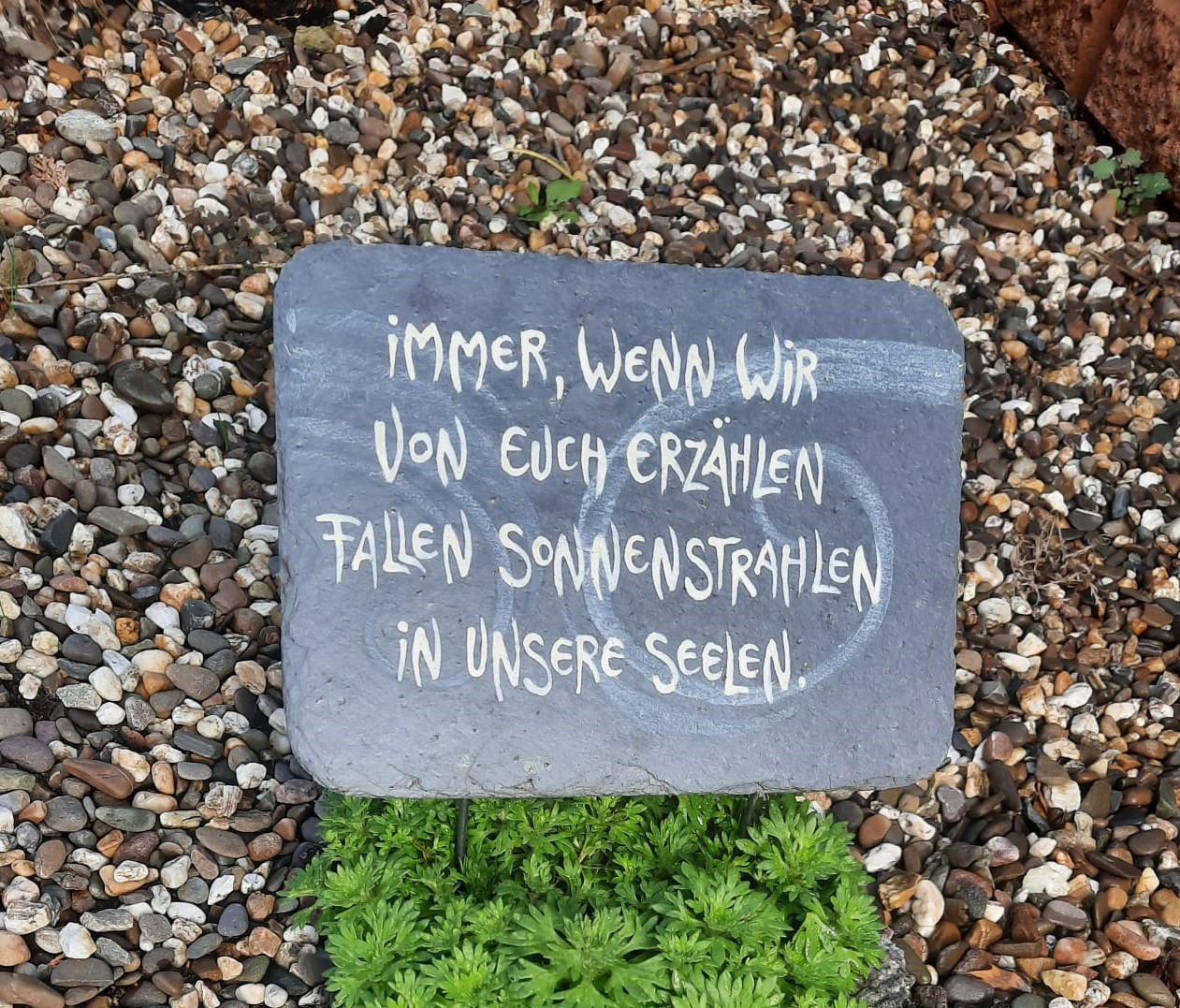 Immer, wenn wir RECHTECK