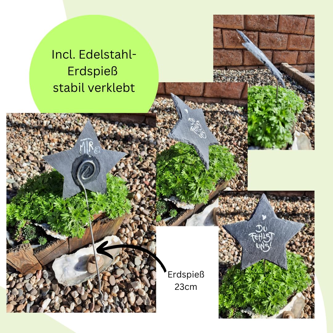 Du fehlst uns! STERN
