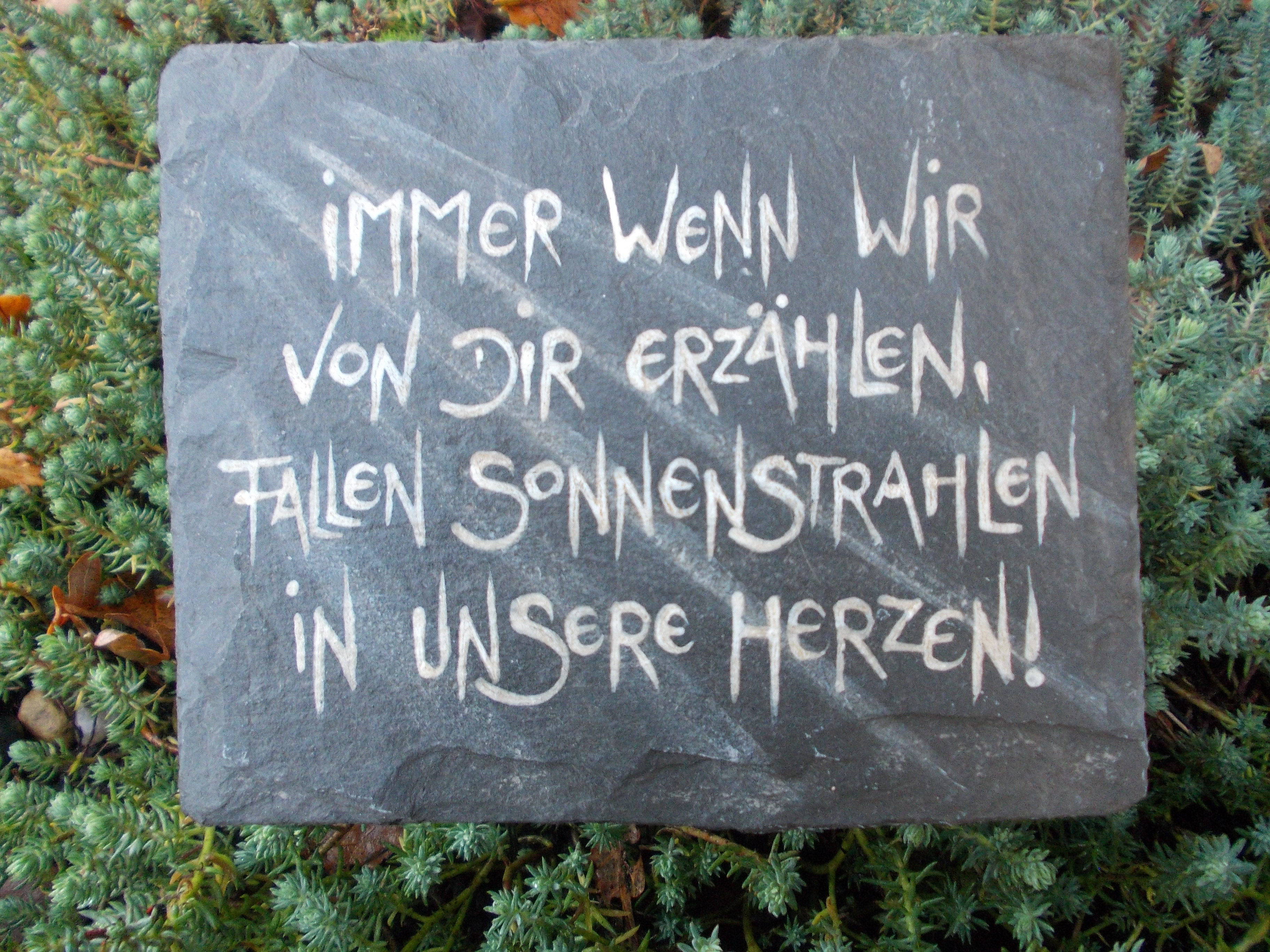 Immer, wenn wir RECHTECK