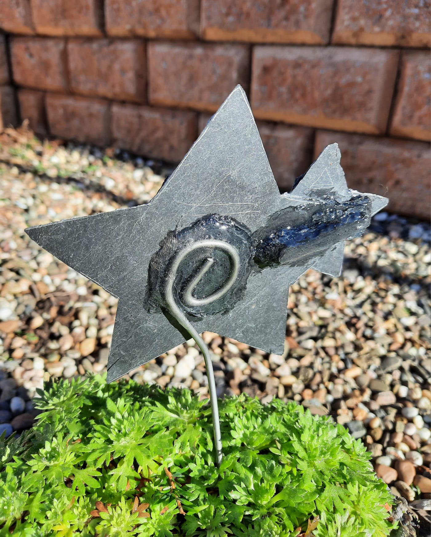 Sternchen mit Stern