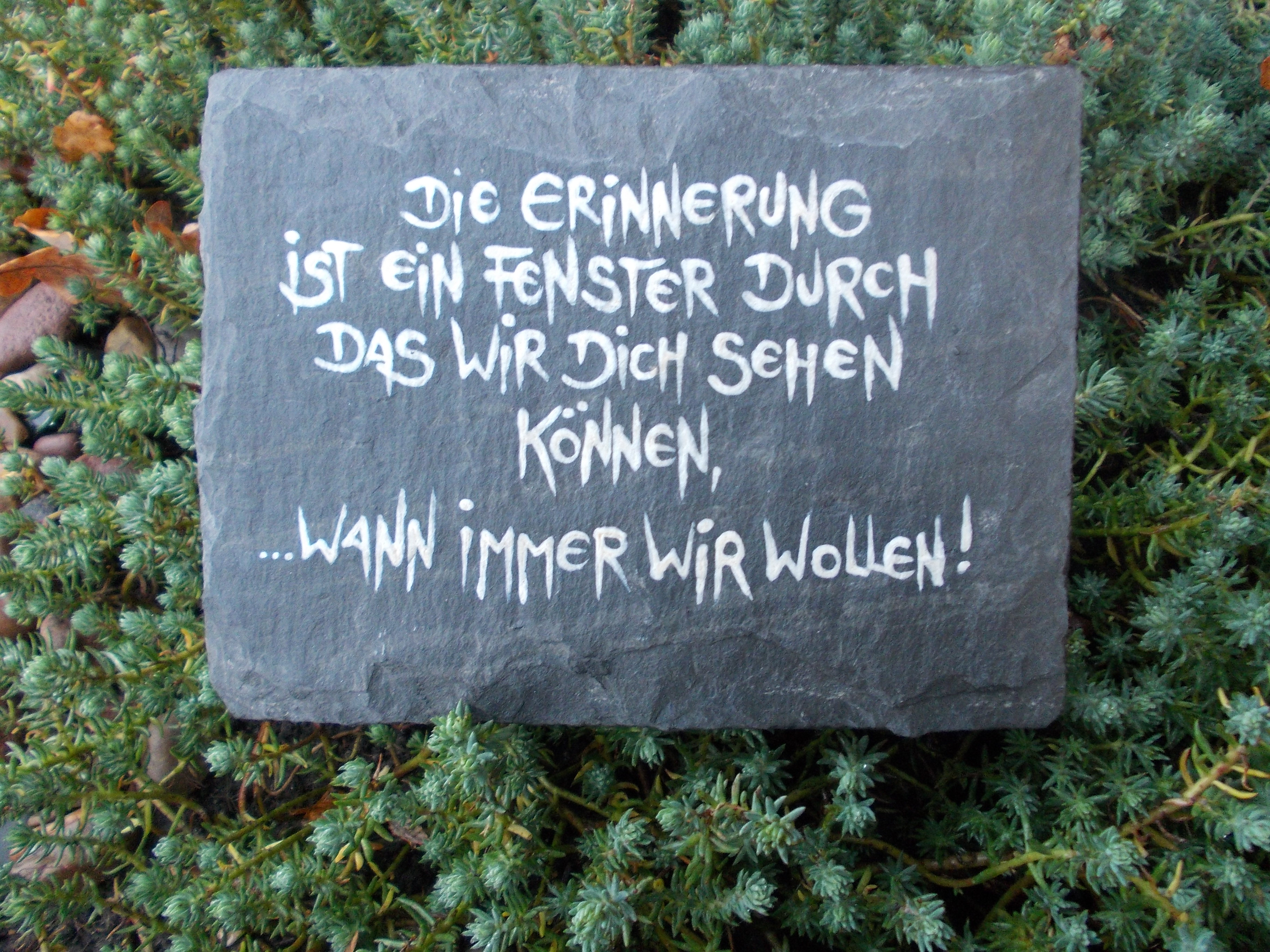 Die Erinnerung ist ein Fenster RECHTECK